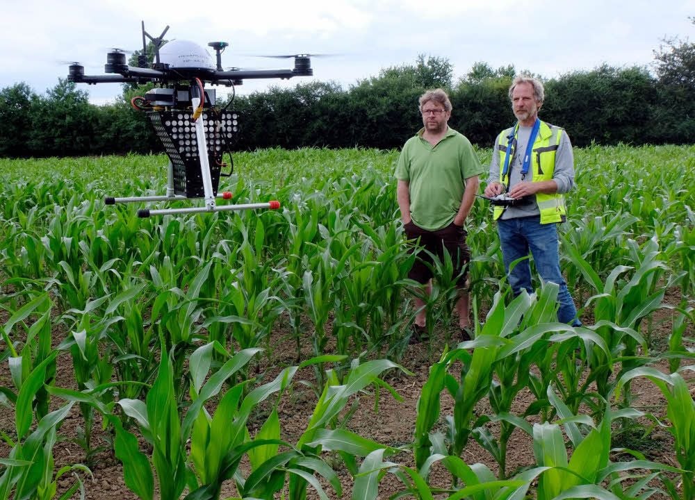 Landwirt Uwe Pötzsch aus Rade (links) setzt auf biologische Schädlingsbekämpfung. Pro Hektar Mais werden in Rettig 220.000 Schlupfwespen ausgesetzt, um den Maiszünsler zu vernichten. Axel Weckschmied aus Dresden setzt dafür einen Quadrocopter ein, der 80 Hektar überfliegt.