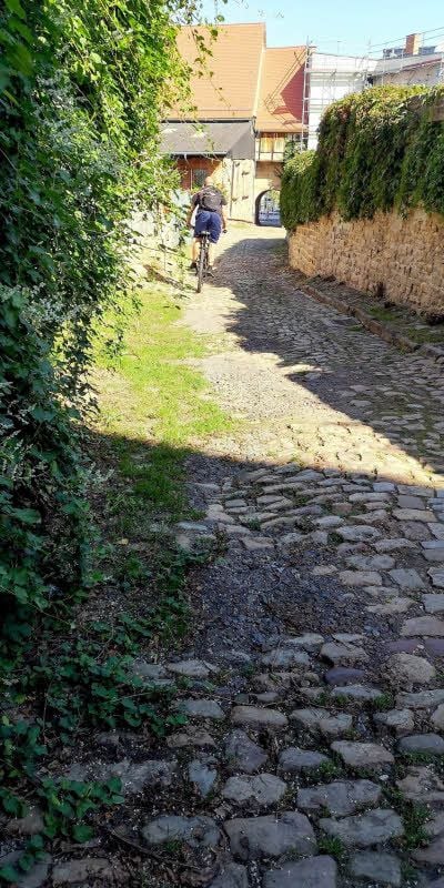 Das Pflaster der Bärgasse ist schlecht. Ältere und behinderte Menschen können die Verbindung zwischen Altmarkt und Kalkstraße zu Fuß kaum bewältigen.