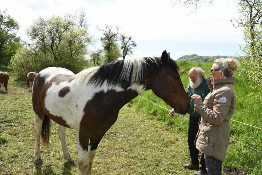 Amtsleiterin Andrea Krüger-Roethe mit Wolfgang Hörig bei einer Vor-Ort-Kontrolle im Jahr 2015.