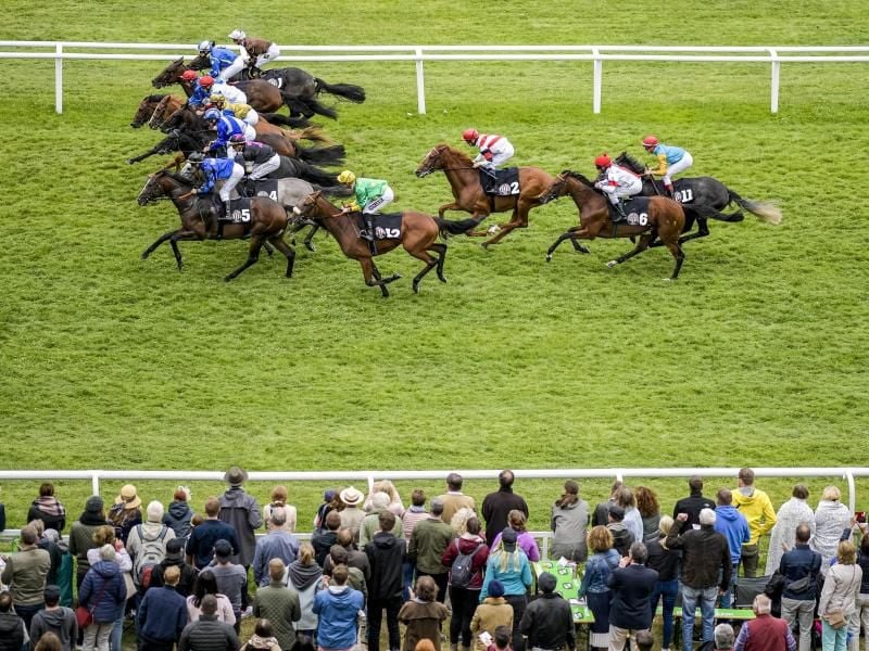 Pferderennen: Galopp, Derby-Woche Hamburg. Das Teilnehmerfeld passiert die Haupttribüne. Foto: Axel Heimken/dpa/Archivbild