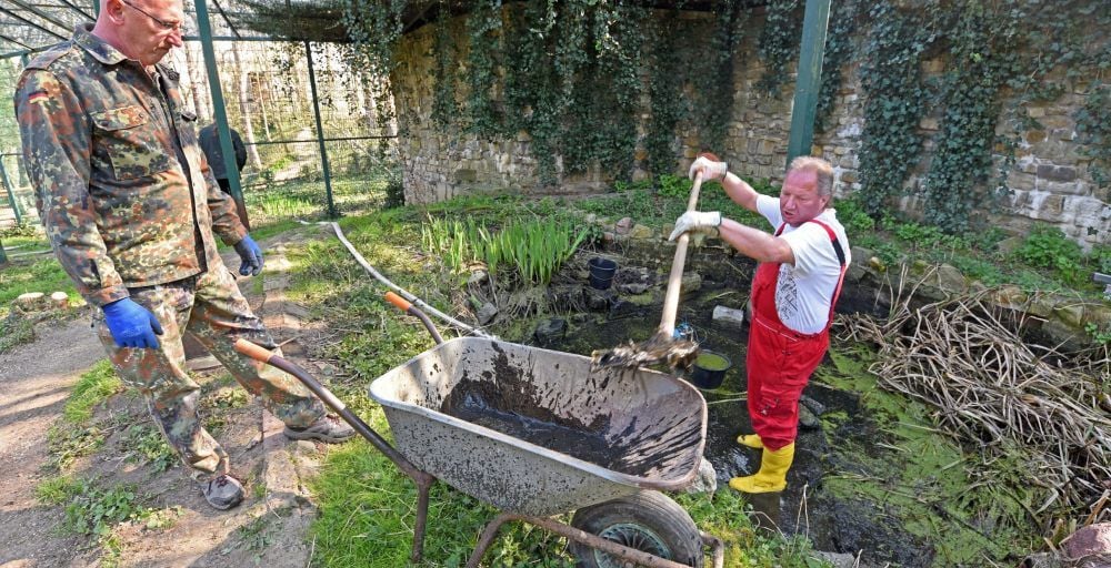 Das alte Jaguargehege im Zoo in Aschersleben wird umgebaut. Mitarbeiter der Aschersleber Kulturanstalt helfen dabei.