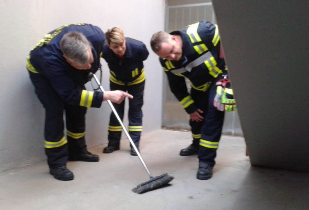 Feuerwehrleute haben - mit einem Besen bewaffnet - die Schlange zunächst gesucht.