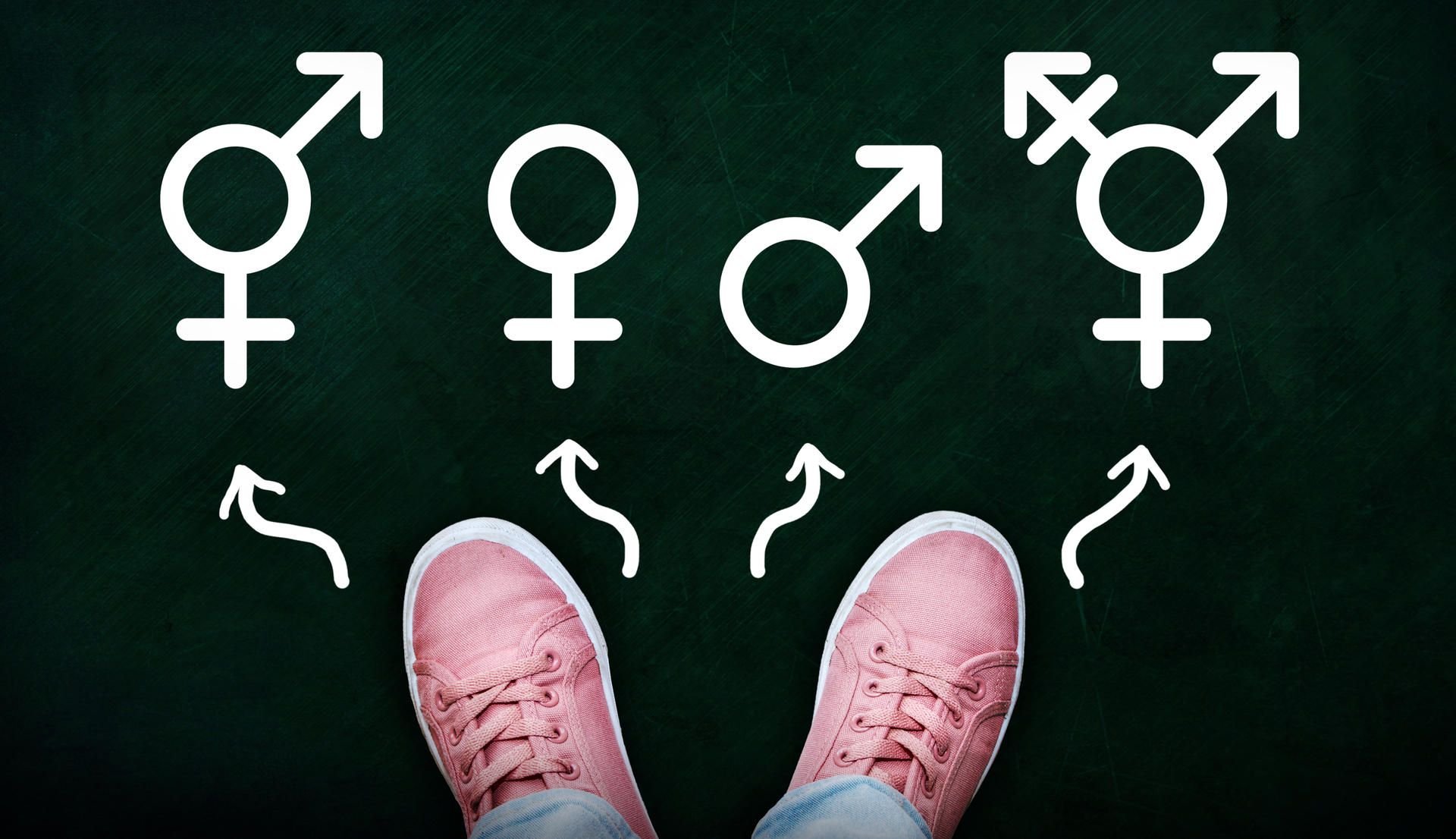 Bisexuelle Menschen fühlen sich zu beiden Geschlechtern hingezogen.