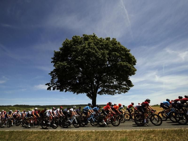 Am fünften Tag der Tour de France wird Spitzenreiter Julian Alaphilippe wieder zu den Favoriten gehören. Foto: Christophe Ena/AP
