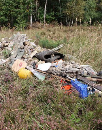 Die Mitarbeiterin beim Landkreis kümmert sich um die Ermittlungen in den Fällen illegaler Müllentsorgung.