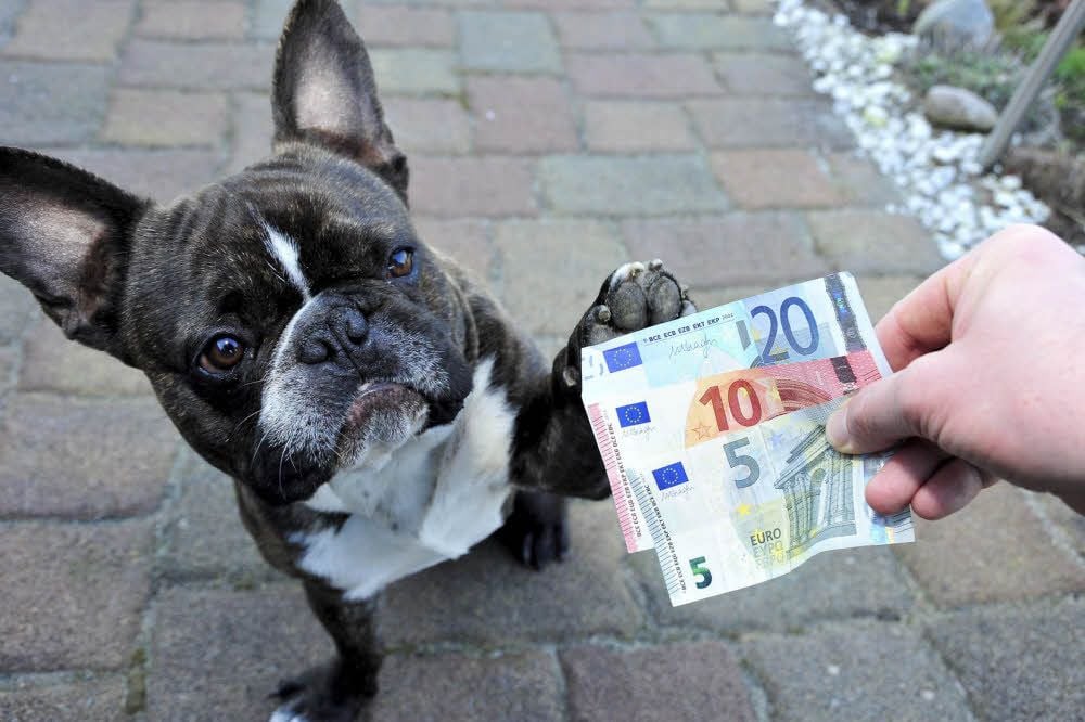 Hundesteuer passé?