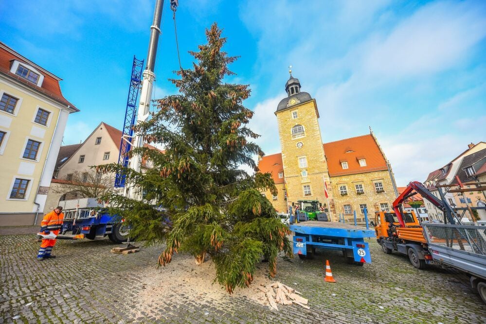 Der Weihnachtsbaum steht auf dem Marktplatz vor dem Rathaus.
