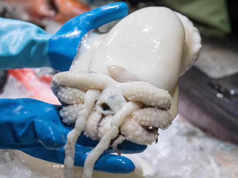 Wer frischen Tintenfisch kauft, sollte den Händler bitten, ihn zu säubern. Foto: Robert Günther