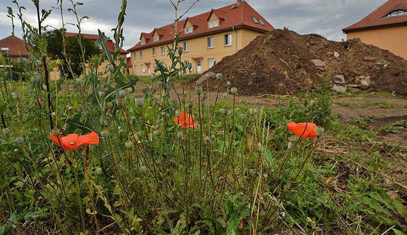 Der Bau eines Musterhauses an dieser Stelle der Gartenstadt wurde von der AWG auf Eis gelegt.