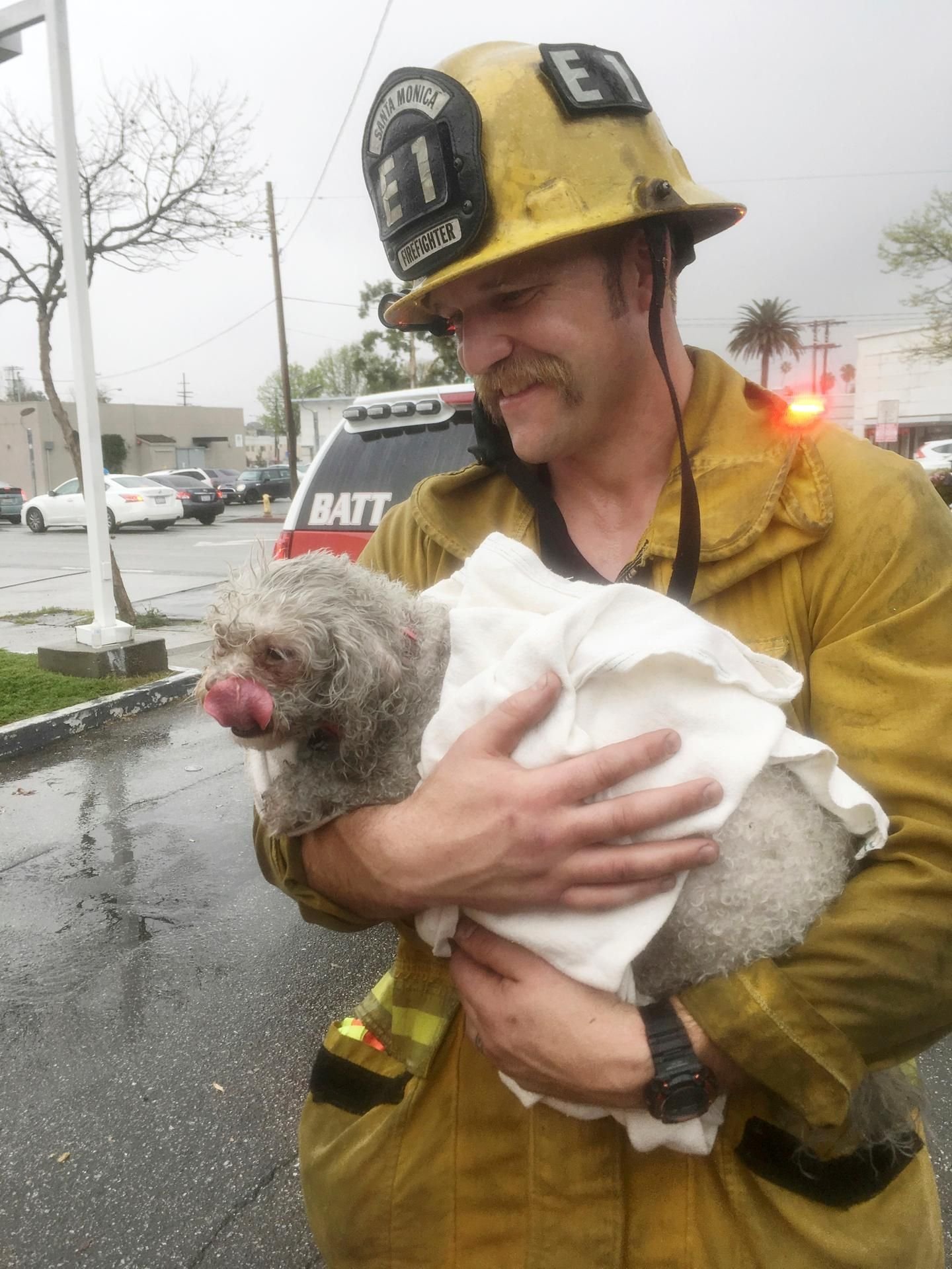 Feuerwehrmanmn Andrew Klein hält in Santa Monica, USA, den kleinen Hund Nalu auf dem Arm.