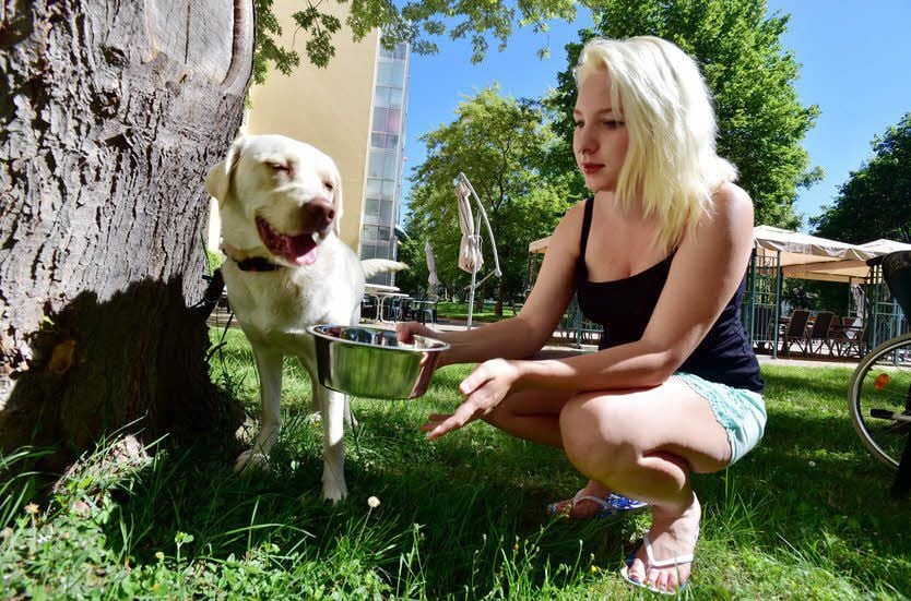 Stadtjäger Armin Deubel weist daraufhin, dass in den letzten Wochen in der Region Weißenfels vermehrt Fälle der Tierkrankheit Staupe aufgetreten sind. „Hundebesitzer sollten ihre Vierbeiner darum gegen die Krankheit impfen lassen“, so Deubel.