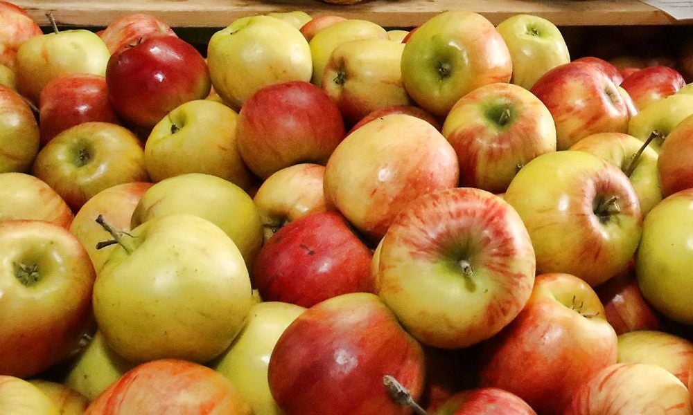 Viele Hofläden im Landkreis haben Äpfel im Sortiment.