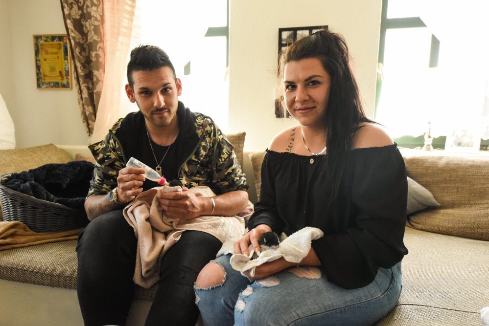 David Amanat rettete zwei Katzenbabys das Leben und zieht sie gemeinsam mit seiner Freundin Jennifer Biermann groß.