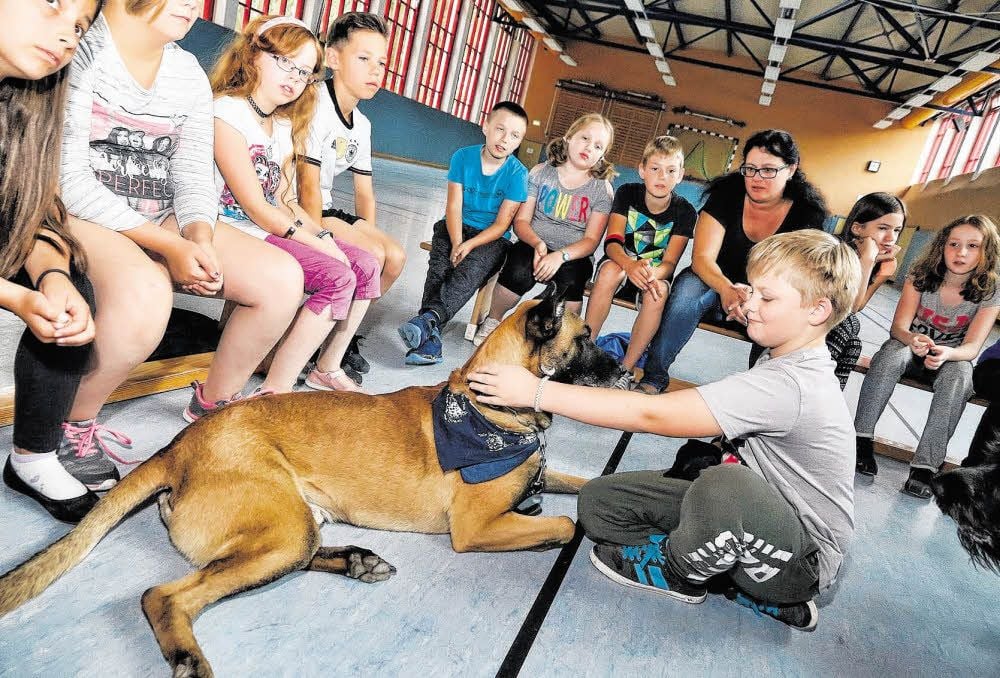 Max aus der 3c der Grundschule Südwest hat keine Angst, Koko zu streicheln. Das Hundeprojekt soll das Sozialverhalten der Schüler stärken.