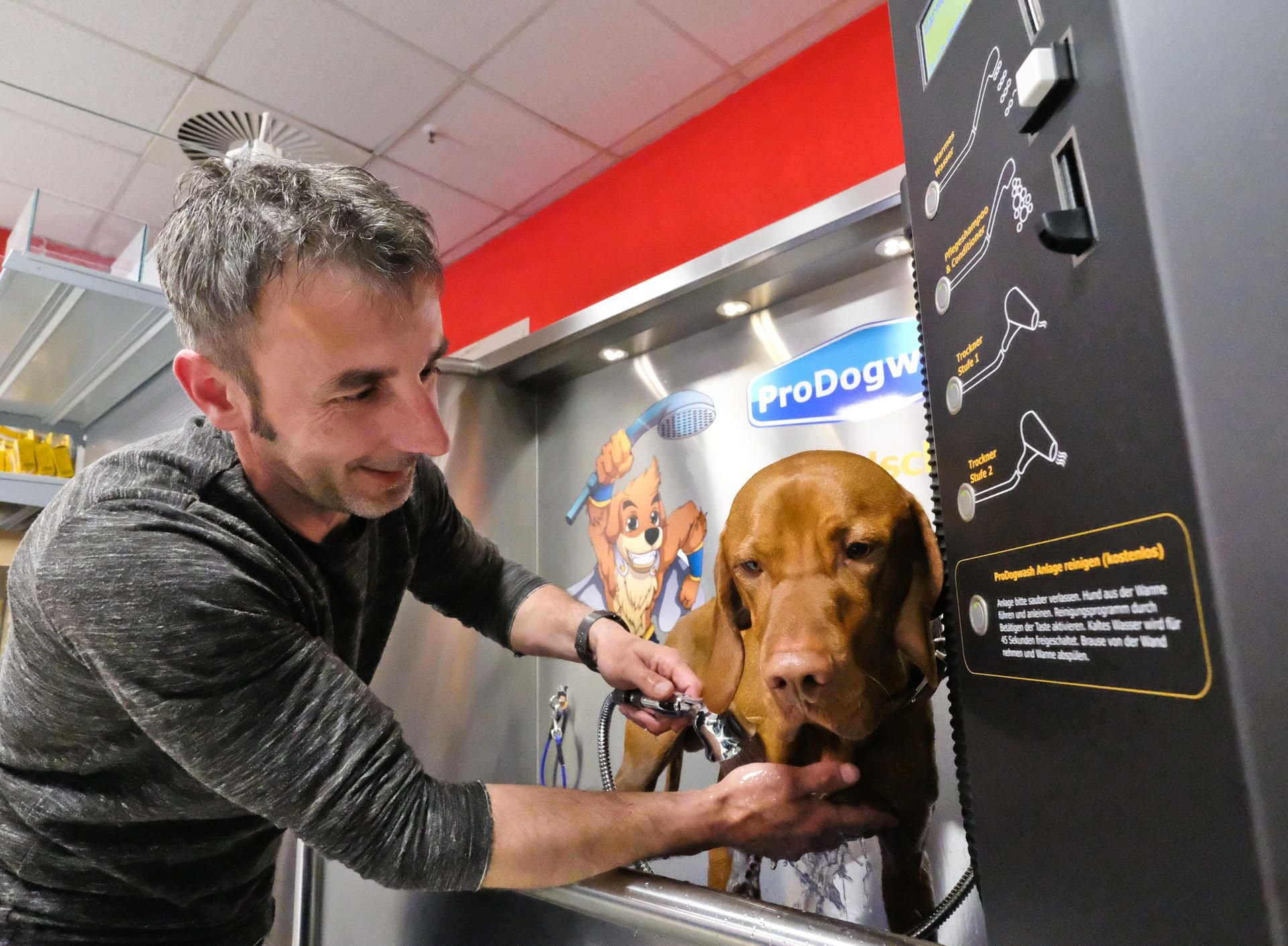 Während Anton das warme Wasser genießt, wählt sein Herrchen das Waschprogramm mit Shampoo und Konditioner aus, anschließend wird der Hund trockengeföhnt.