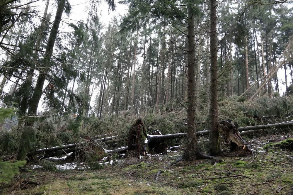 Im Wald um Wolfsberg gab es kaum eine Stelle, die vom Sturm unbeschädigt blieb. Noch immer sind die Folgen von „Friederike“ zu sehen.