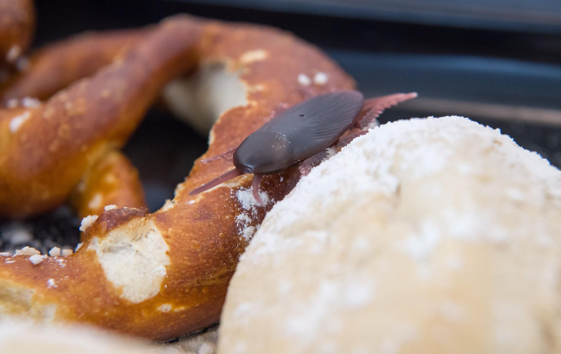 Foodwatch verweist mit dieser Gummischabe auf Hygienemängel in bayerischen Bäckereien.