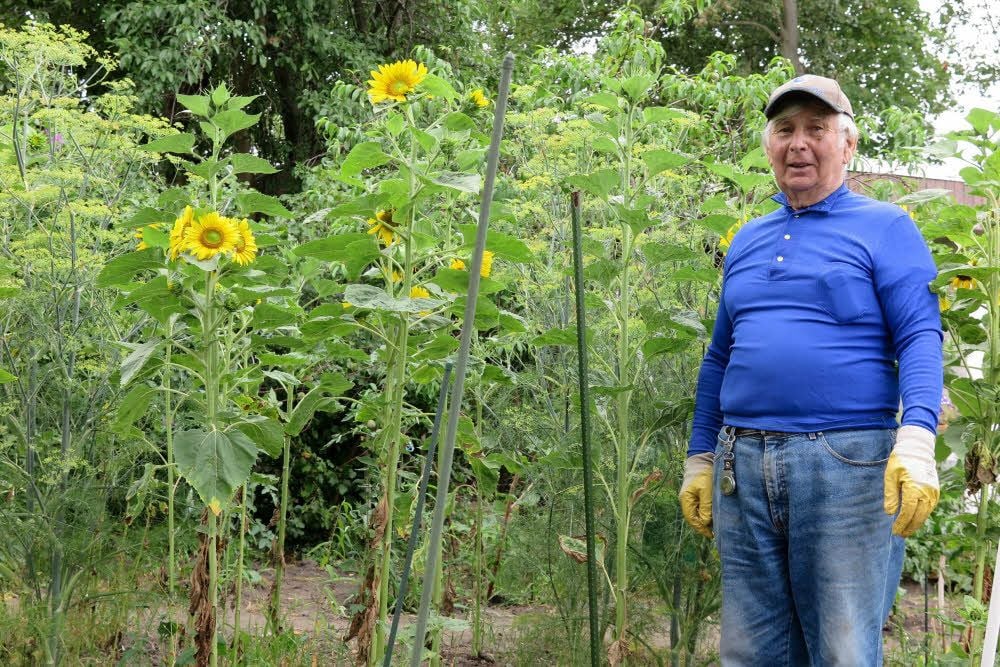 Herbert Grabow ist seit 1963 dem Naturheilverein „Prießnitz“ verbunden. Er kann viele Erlebnisse aus der Gartenanlage erzählen.
