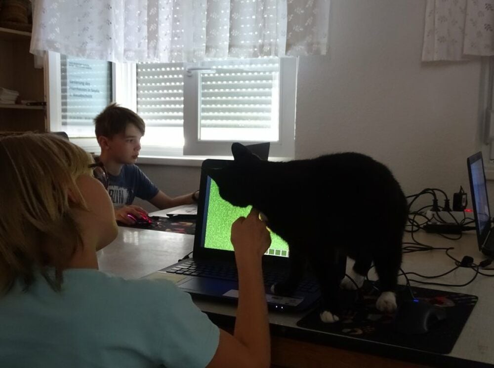 Die Pfarrhauskatze, ganz real, mischt sich ein.