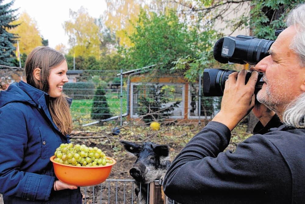 Vanessa Homann wurde bei den Dreharbeiten für die MDR-Sendung im Schweine-Gehege gefilmt. Werden sie ein neues Zuhause finden?