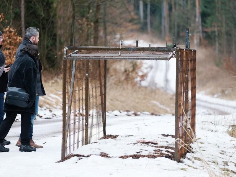 Eine Lebendfalle steht auf dem Gelände des Standortübungsplatzes der Bundeswehr in Ohrdruf. Foto: Sebastian Willnow