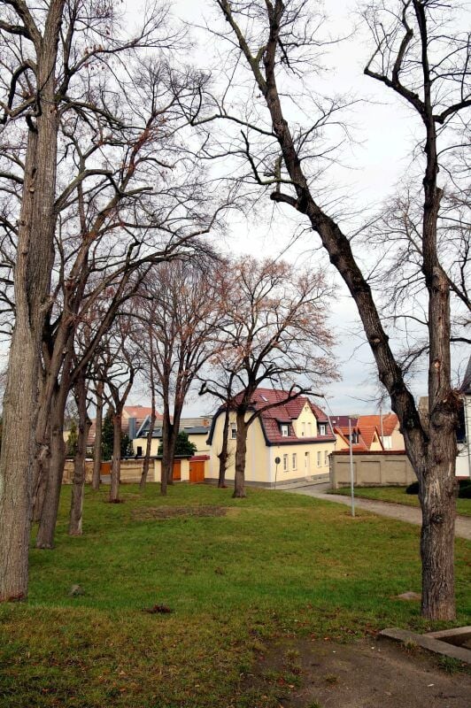 Der Ebertplatz in Nienburg soll umgestaltet werden. Dazu gehören auch Spielgeräte, die im Frühjahr aufgestellt werden.