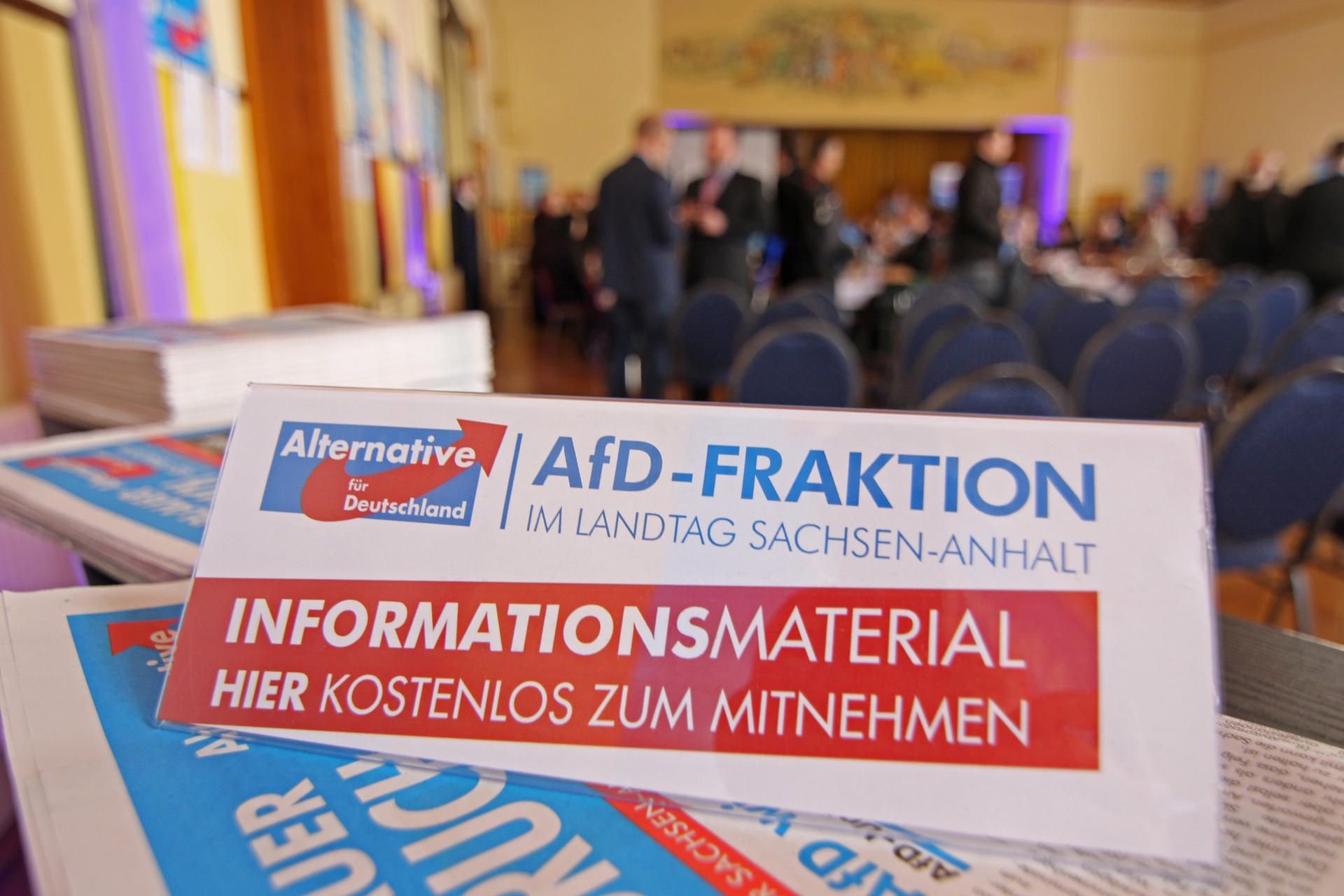 Das Logo der AfD-Fraktion in Sachsen-Anhalt. (Symbolbild)