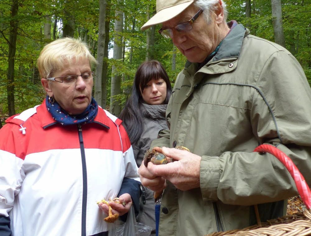 Noch im Wald beurteilte Jürgen Peitzsch die gesammelten Pilze.