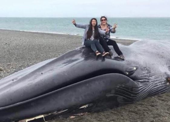 Zwei Frauen posieren auf dem gestrandeten Wal in Chile.