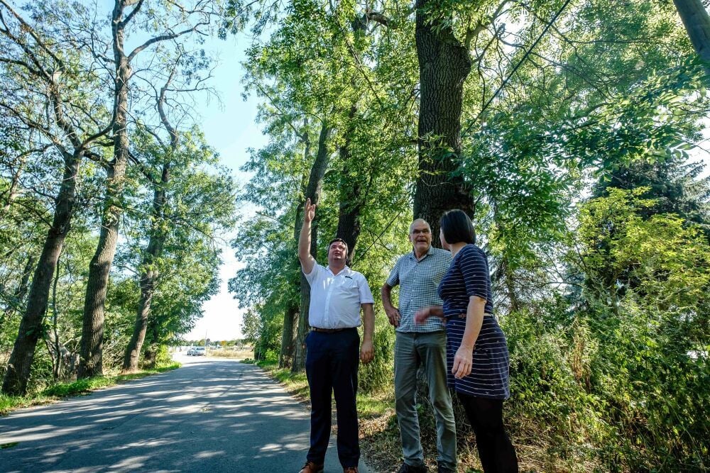 Bürgermeister Enrico Schilling, Forstexperte Harald Zehler und Verwaltungsangestellte Maria Möbius waren noch einmal vor Ort.