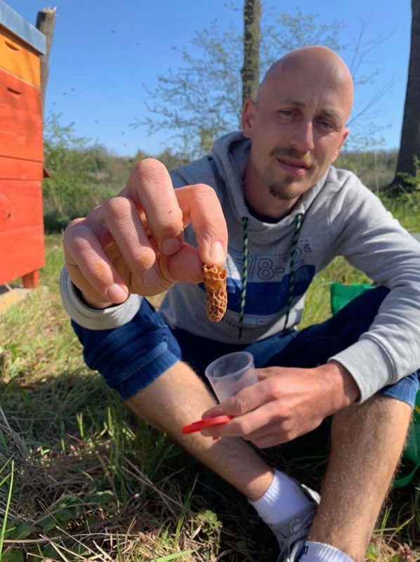 Hobbyimker Martin Volkmar zeigt eine Wabe.
