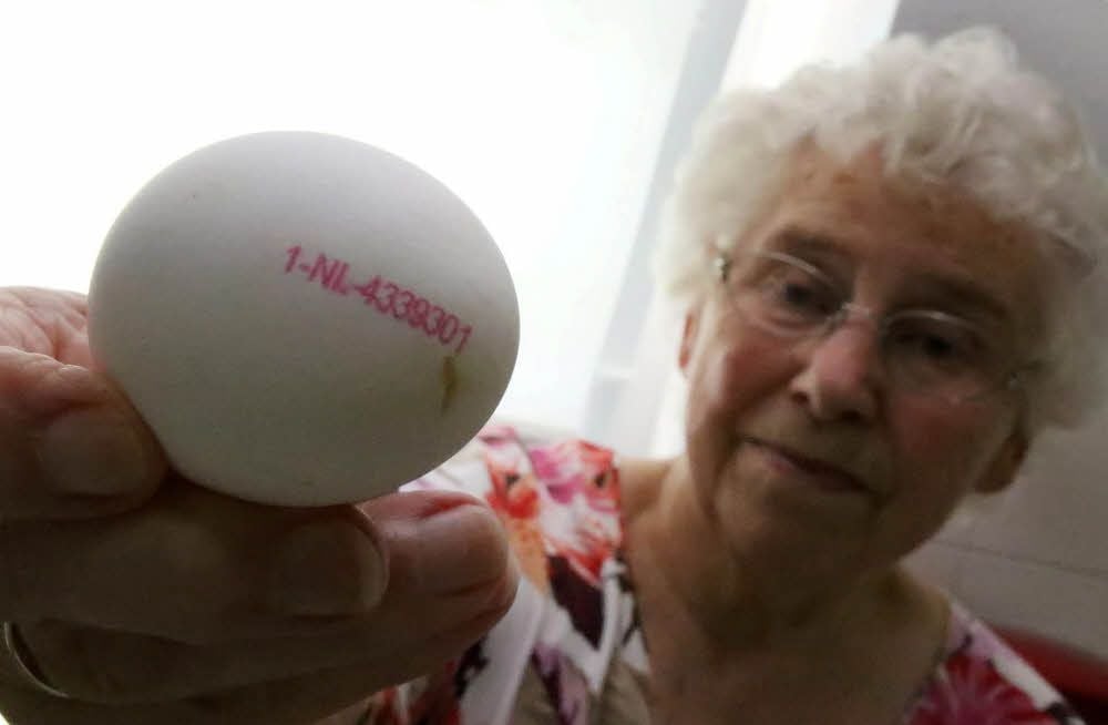 Inge Stang mit einem belasteten Hühnerei. Das wandert umgehend in den Müll.