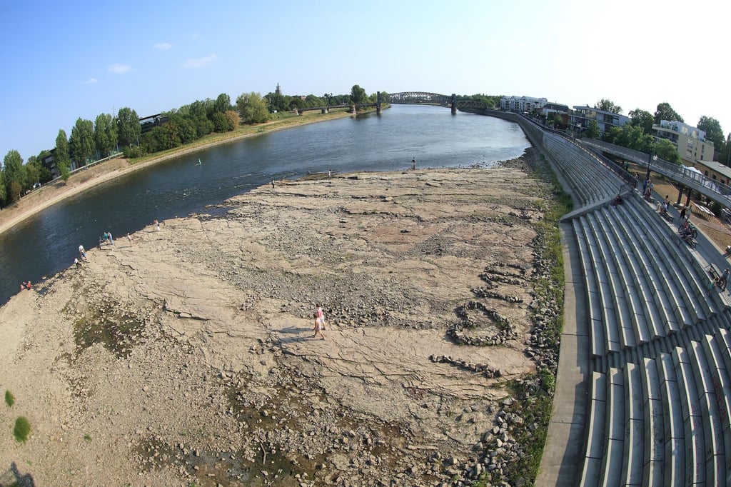 Das teilweise ausgetrocknete Flussbett der Elbe in Magdeburg (August 2015). Die Elbe ist für die Frachtschiffer ein launischer und problematischer Fluss.
