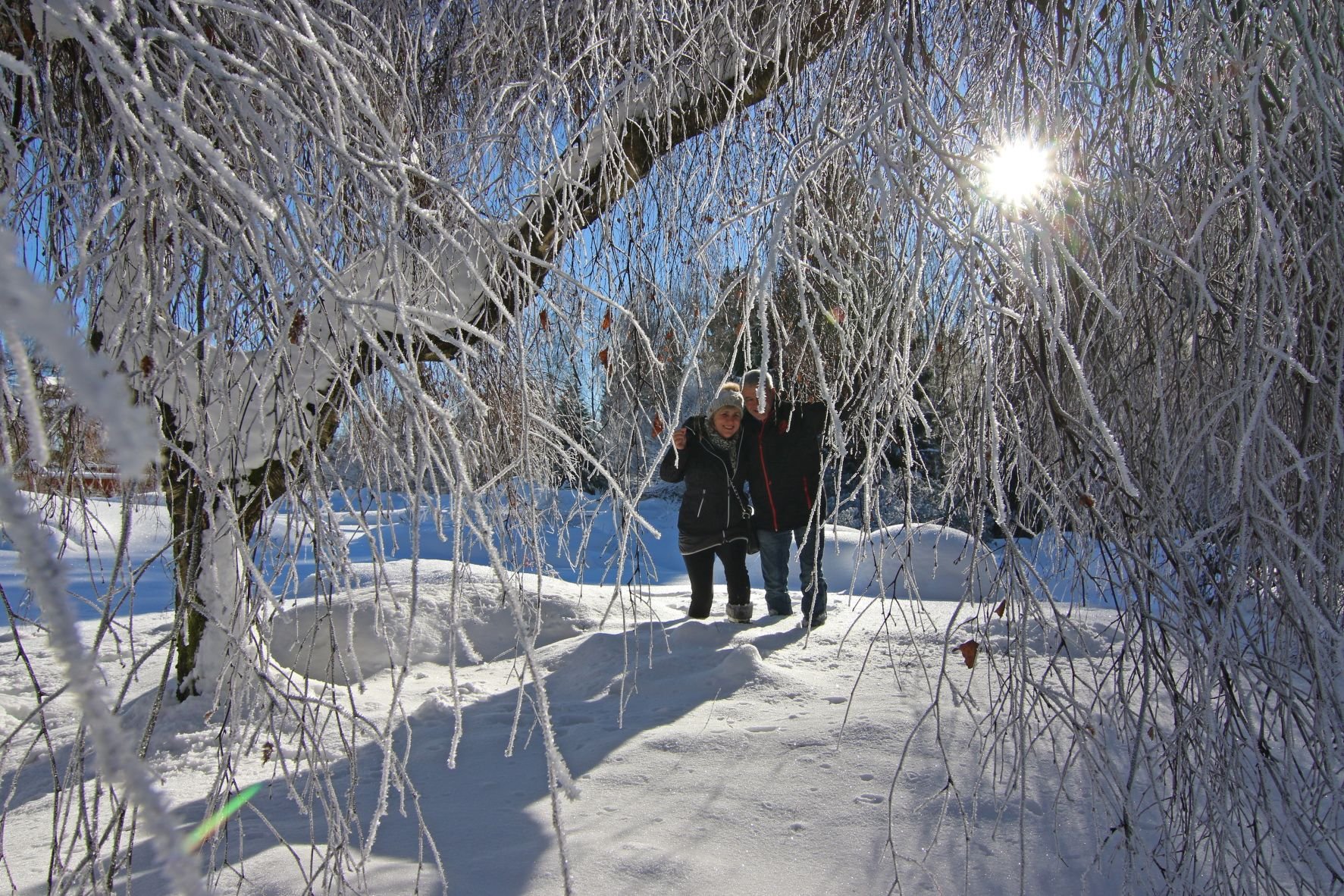 Touristen gehen im verschneiten Kurpark in Schierke spazieren.