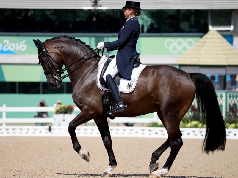 Dorothee Schneider 2016 mit Showtime in Rio. Foto: Friso Gentsch
