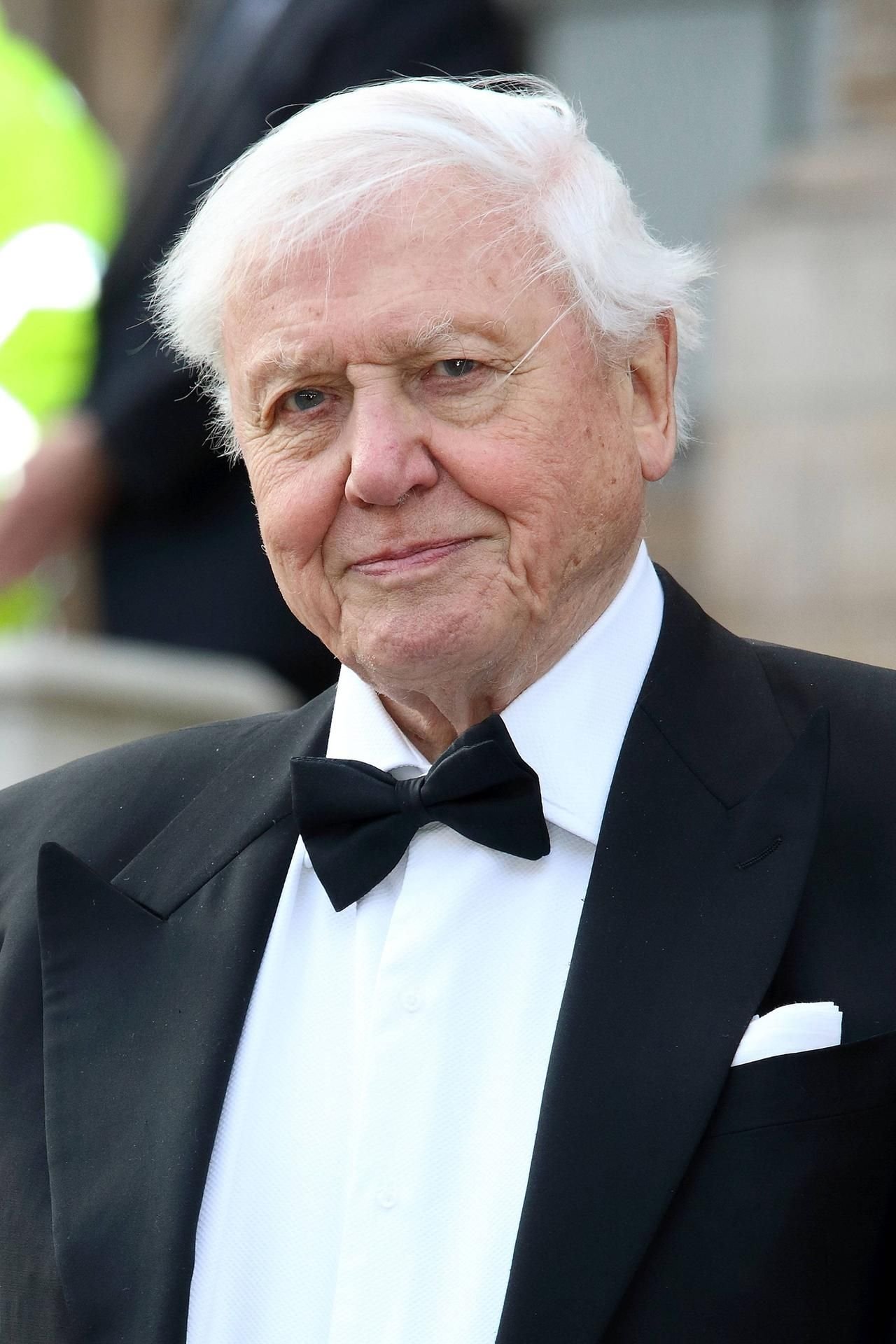 Der berühmte Tierfilmer und Naturforscher Sir David Attenborough stellt Instagram auf den Kopf: Nach nur vier Stunden hat der 94-Jährige bereits 1 Millionen Abonnenten.