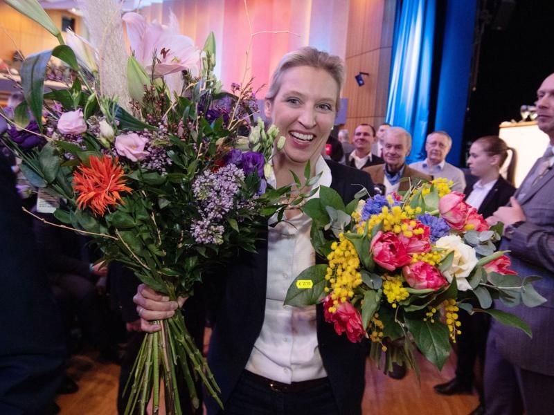 Alice Weidel ist zur Landesvorsitzenden der AfD in Baden-Württemberg gewählt worden. Foto: Marijan Murat/dpa