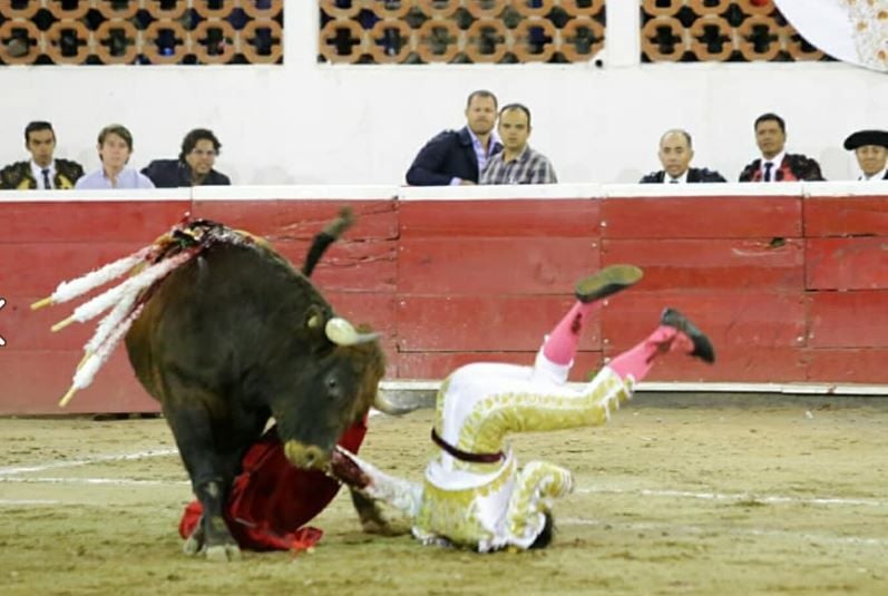 Stierkampf: Bulle verletzt Matador