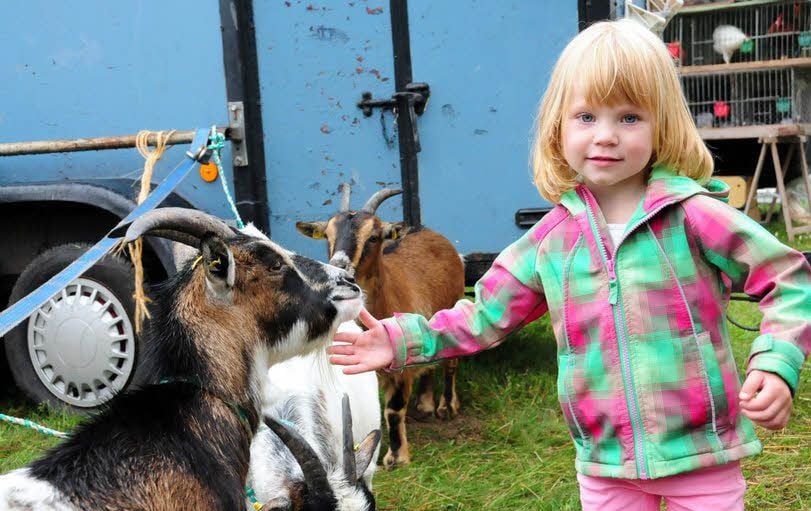 Der 22. Pferde- und Bauernmarkt von Linda öffnet am 15. September seine Pforten. Sehr beliebt bei den kleinen Besuchern sind die Tiere.