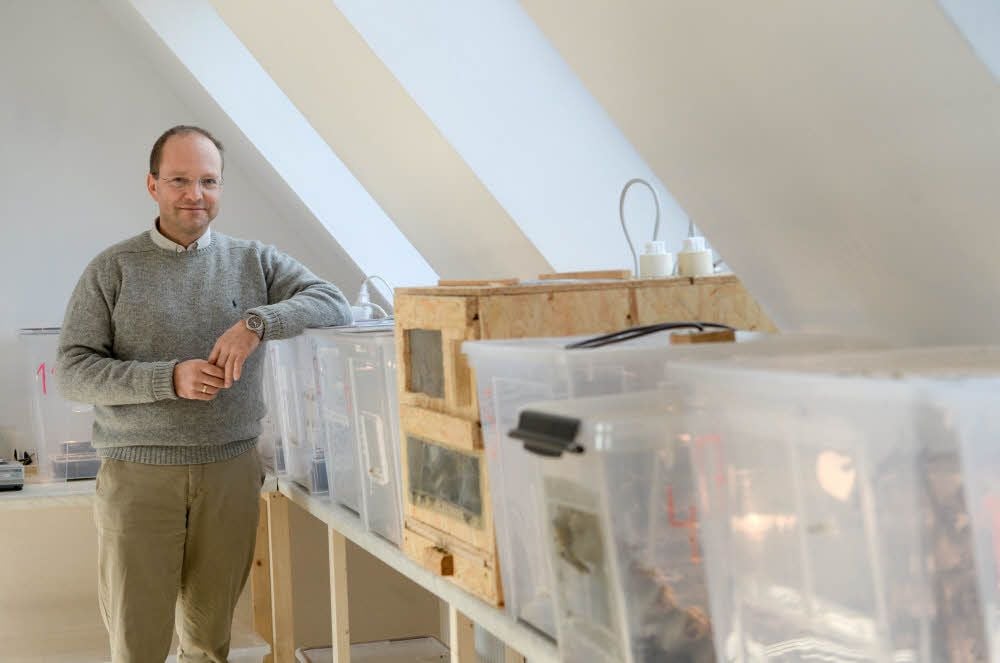 Thorsten Breitschuh aus Werdershausen hat für die Heuschrecken einen Stall umgebaut.