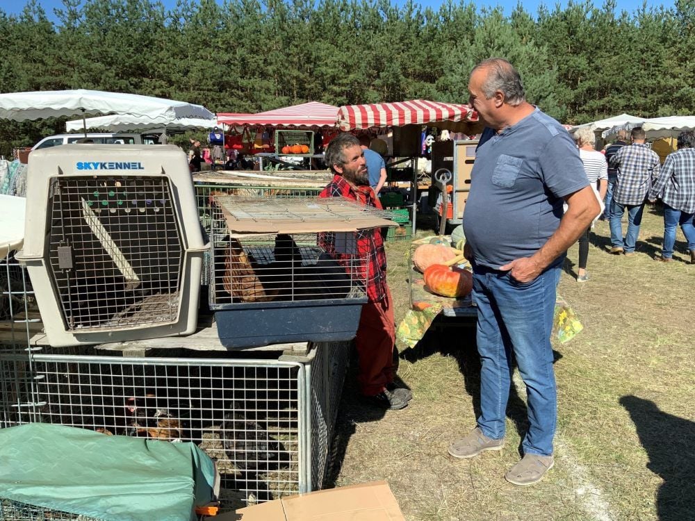 Gefachsimpelt und gehandelt wird an jedem Stand auf dem von Familie Schmidt organisierten Bauernmarkt.