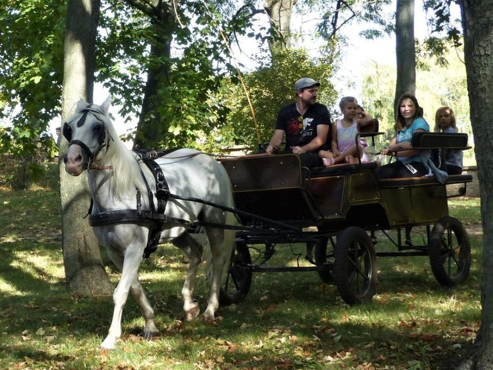 Wie im Dorfleben der Vergangenheit: eine Kutschfahrt durch den Gleinaer Schlosspark.