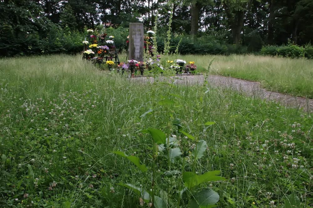 So sieht es regelmäßig auf dem Sangerhäuser Friedhof aus.