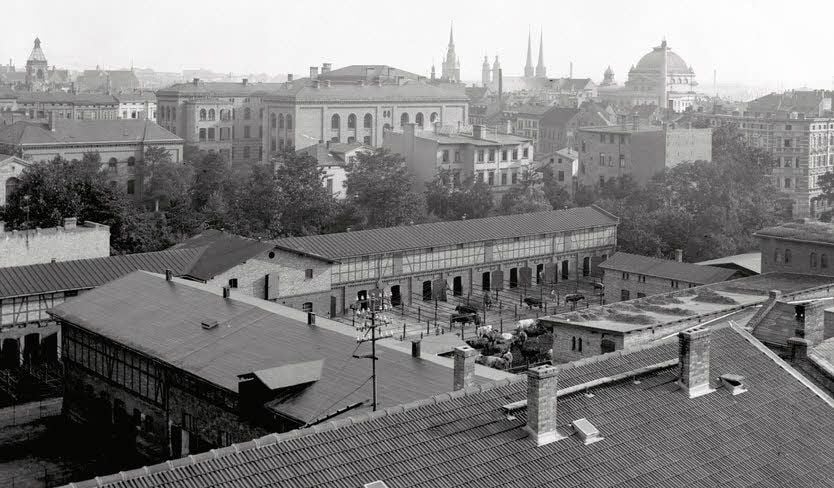 Ein Blick auf den Haustiergarten der Universität Halle im Jahr 1900. Im Hintergrund sind die fünf Türme auf dem Markt zu sehen.