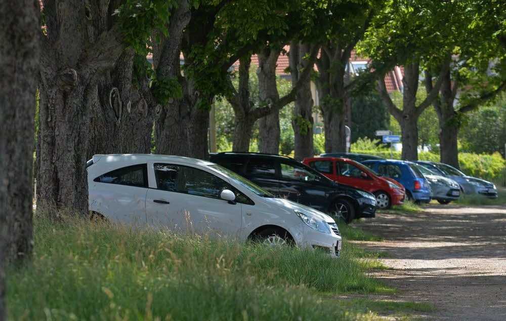 Parken direkt unter Bäumen - wie hier am Lok-Sportplatz - ist nach der städtischen Baumschutzsatzung nicht erlaubt.