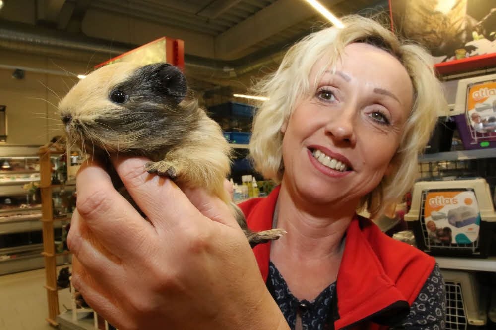 Elke Krone hält das Baby-Meerschweinchen wieder in den Händen.