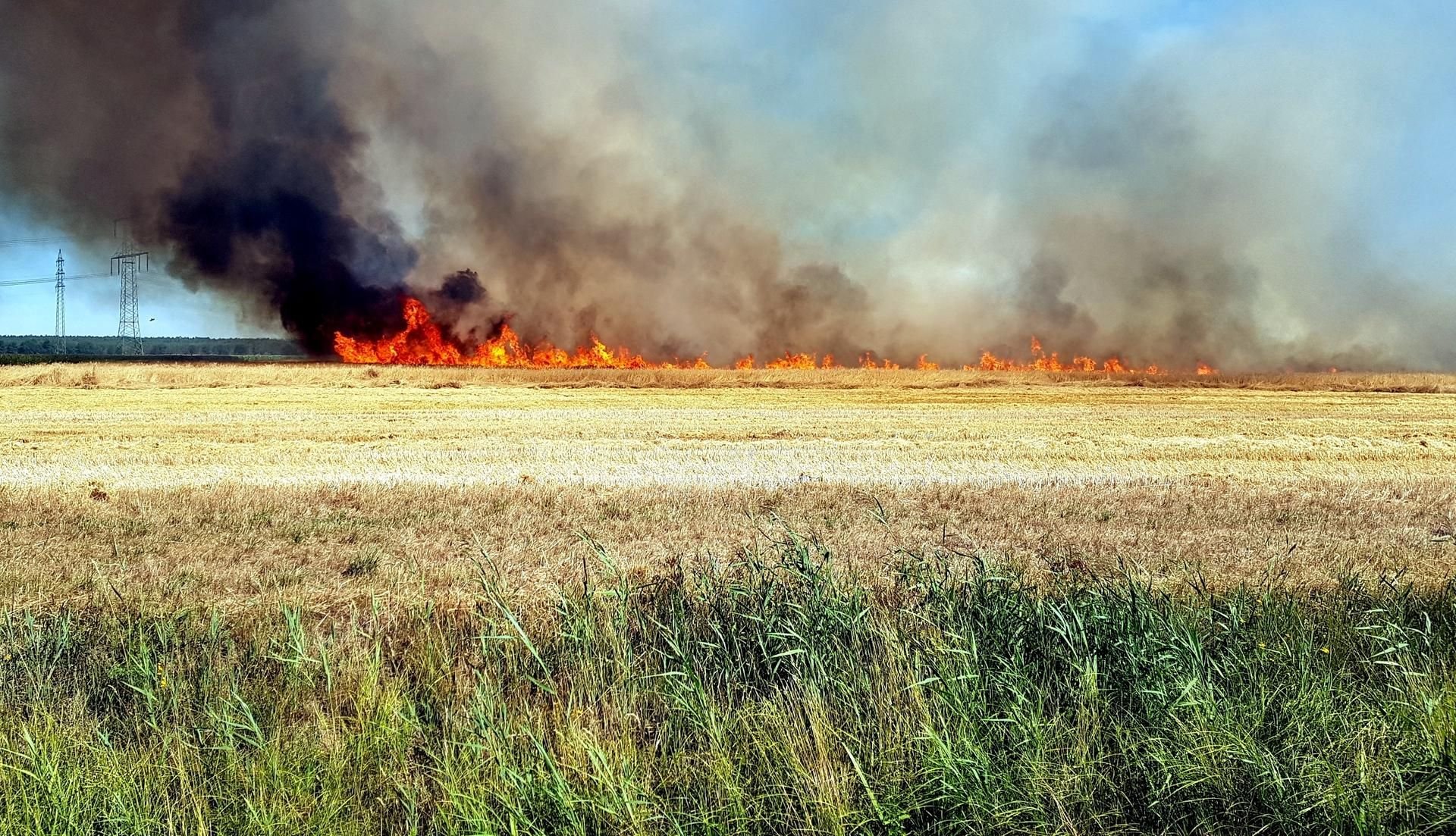 Feldbrand zwischen Jessen und Annaburg