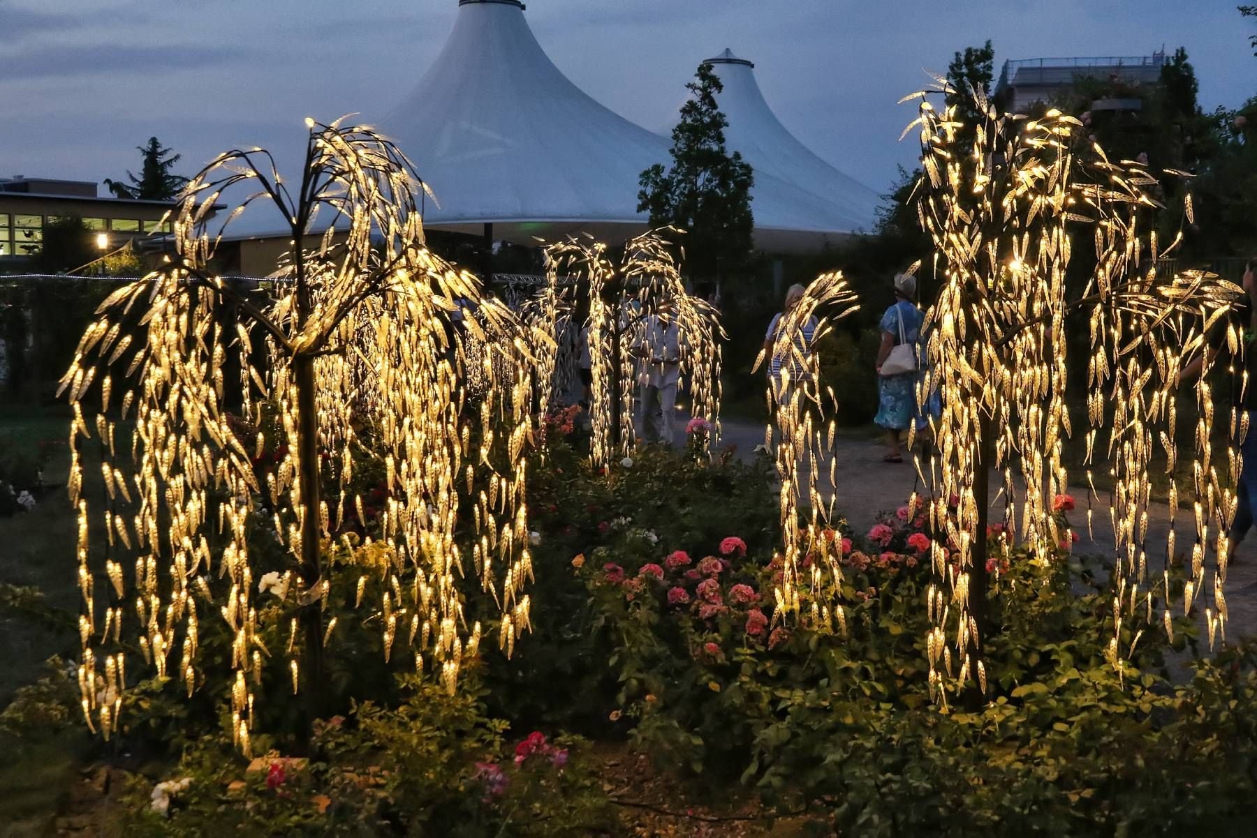 Am 13. August findet die Nacht der 1.000 Lichter im Rosarium statt.