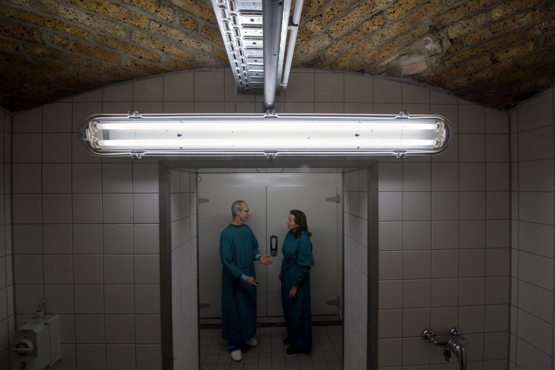 Im Keller des Instituts für Anatomie und Zellbiologie der Universität Halle unterhält sich Institusdirektorin Heike Kielstein mit Präparator Hans-Joachim Heine.