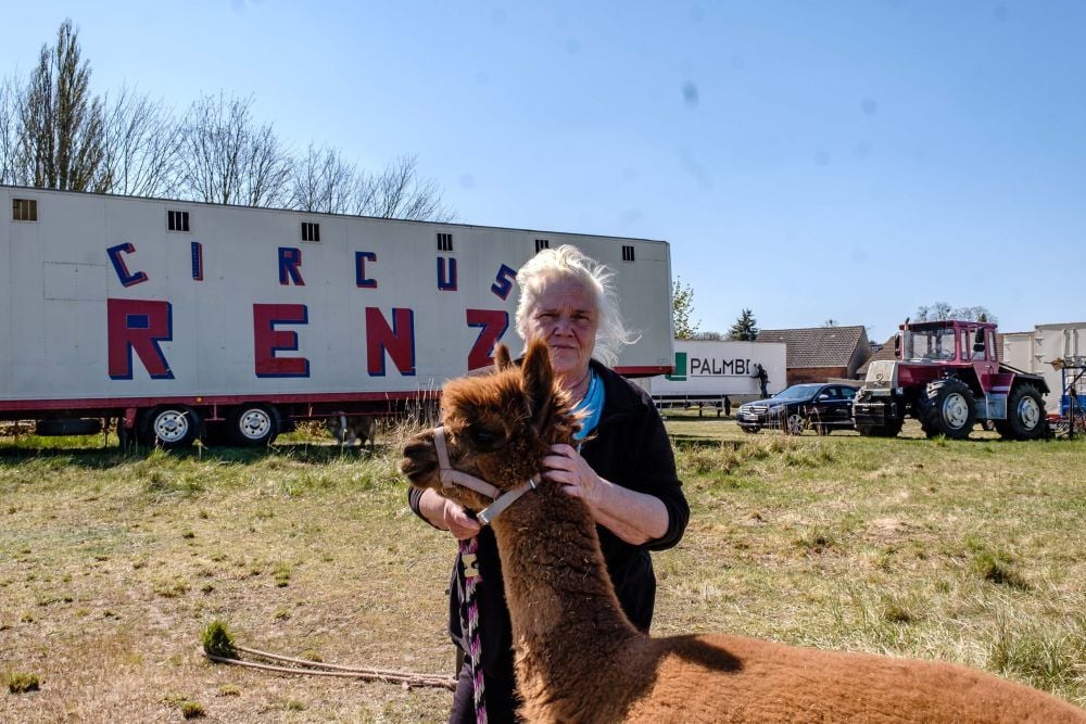 Ilse Renz, hier mit dem Alpaka, ist die Inhaberin von „Circus Renz“. Sie plagen große Sorgen um das Familienunternehmen.